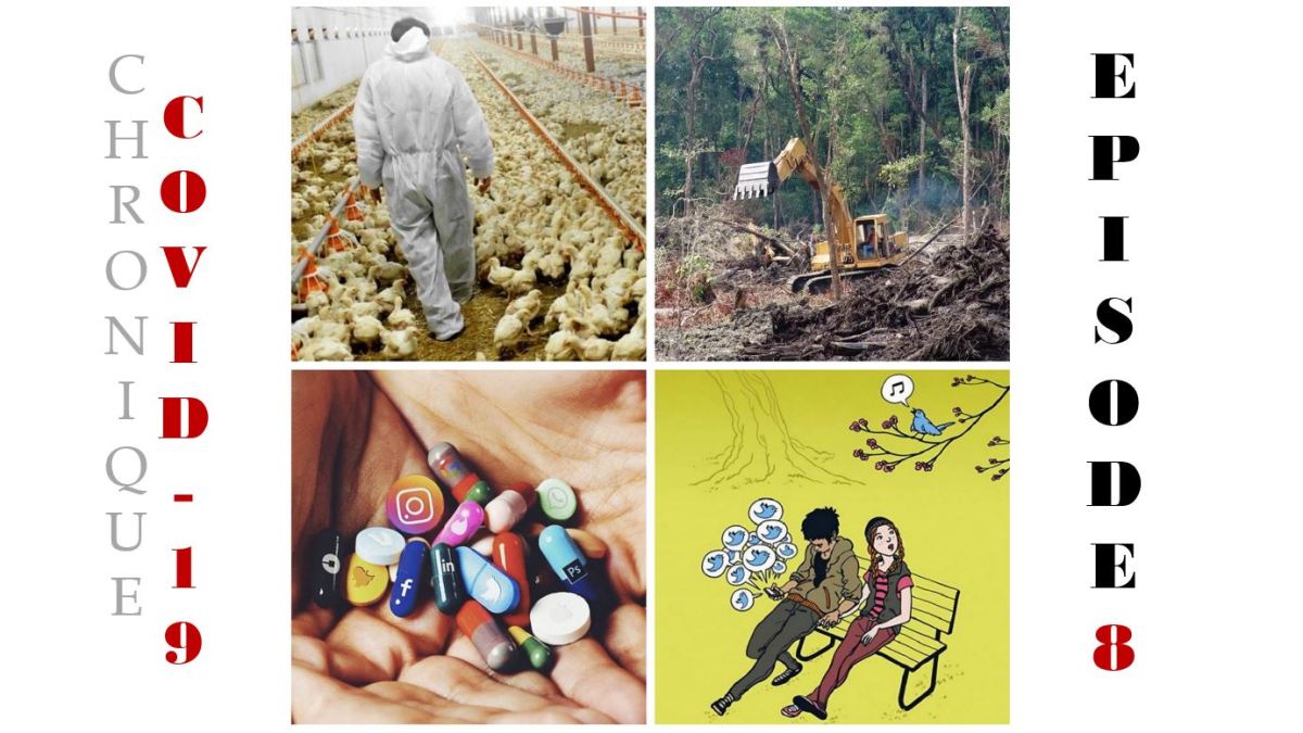 Covid-19: Questions systémiques