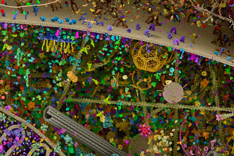 Émergence de la&nbsp;complexité