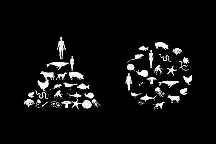 Sommes-nous une espèce&nbsp;unique?